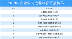 2019年安徽省制造業綜合百強排行榜