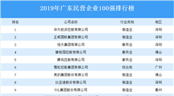 2019年广东省民营企业100强排行榜