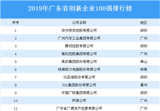 2019年广东省创新企业100强排行榜