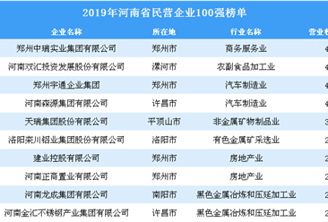 2019年河南省民营企业100强排行榜