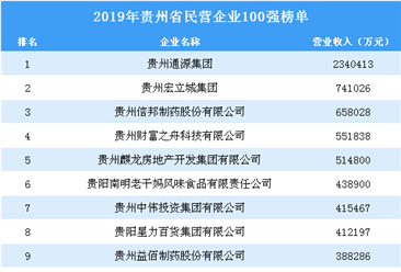 2019年贵州省民营企业100强排行榜