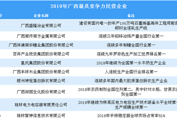 2019年广西最具竞争力民营企业（全榜单）