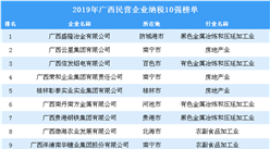 2019年广西民营企业纳税10强排行榜