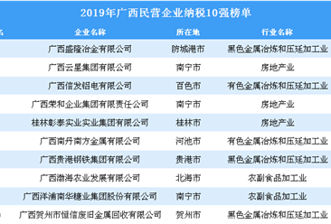 2019年广西民营企业纳税10强排行榜
