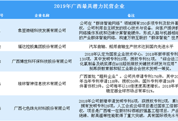 2019年广西最具潜力民营企业（全榜单）
