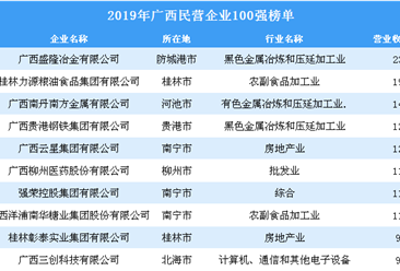 2019年广西民营企业100强排行榜