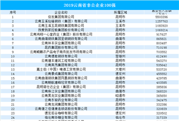 2019云南省非公企业100强出炉：俊发集团遥遥领先（附榜单）