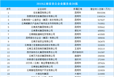 2019年云南省非公企业服务业20强排行榜（附完整榜单）