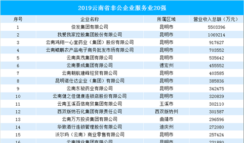 2019年云南省非公企业服务业20强排行榜（附完整榜单）