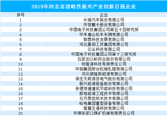 2019年河北省战略性新兴产业创新百强企业名单（附完整名单）
