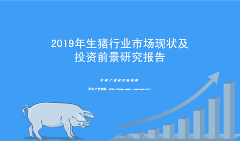 中商产业研究院：《2019年中国生猪行业市场现状及投资前景研究报告》发布