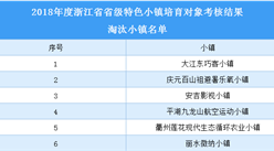 浙江省2018年省级特色小镇培育对象淘汰小镇名单：合计6家（附表）