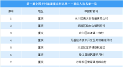 第一批全國鄉村旅游重點村名單出爐：重慶共9個鄉村入選（附圖表）