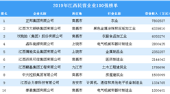 2019年江西民營企業100強排行榜