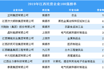 2019年江西民营企业100强排行榜
