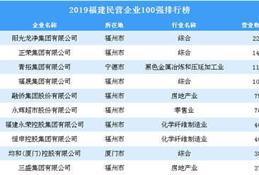 2019福建民营企业100强排行榜