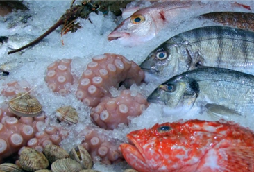 2019年11月中国水海产品出口量为37.8万吨 同比下降10.8%