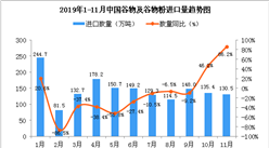2019年11月中國谷物及谷物粉進口量同比增長86.2%