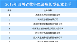 2019年四川省数字经济成长型企业名单：泸州老窖等12家企业上榜（附名单）