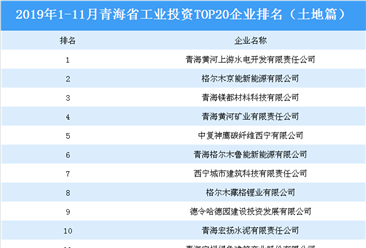 產業地產投資情報:2019年1-11月青海省工業投資TOP20企業排名(土地篇)