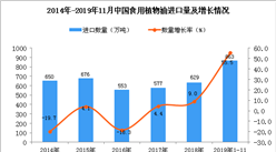 2019年1-11月中國食用植物油進口量為863萬噸 同比增長55.5%