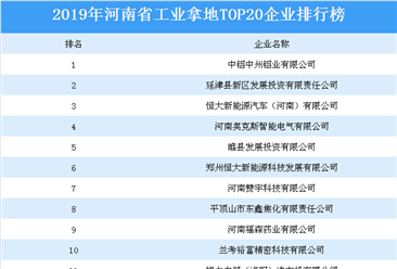 产业地产投资情报：2019年河南省工业拿地TOP20企业排名（土地篇）