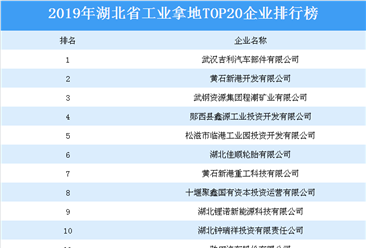 产业地产投资情报：2019年湖北省工业拿地TOP20企业排名（土地篇）