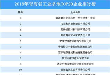 产业地产投资情报：2019年青海省工业拿地TOP20企业排名（土地篇）