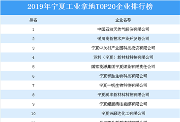 产业地产投资情报：2019年宁夏工业拿地TOP20企业排名（土地篇）