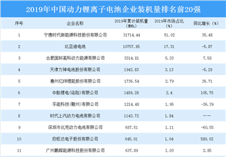 2019年中国动力锂离子电池企业装机量20强排行榜