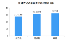2020年甘肃省定西市中医药产业发展现状分析报告（全文）