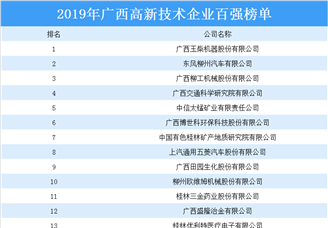 2019年广西高新技术企业百强排行榜