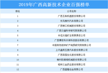 2019年廣西高新技術企業百強排行榜