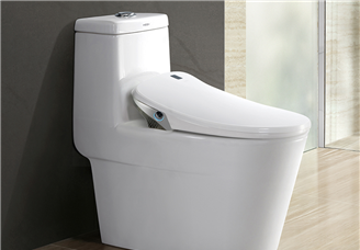 2023年中國智能坐便器蓋板市場規(guī)模19億美元 三大因素驅(qū)動行業(yè)發(fā)展（圖）