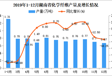 2019年湖南省化学纤维产量为8.91万吨 同比下降17.19%