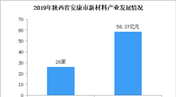 2020年陕西省安康市新材料产业发展现状分析（图）