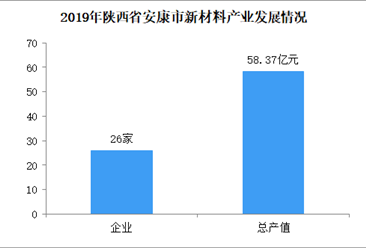 2020年陕西省安康市新材料产业发展现状分析（图）