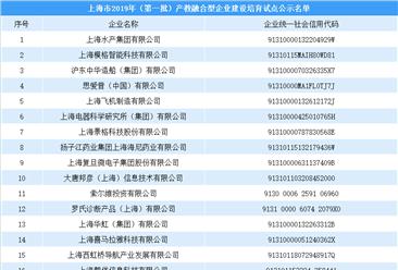 上海市2019年（第一批）产教融合型企业建设培育试点公示名单发布