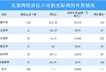2019年广西北部湾经济区六市的实际利用外资情况（表）