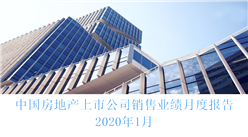 2020年1月中国房地产行业经济运行月度报告（完整版）