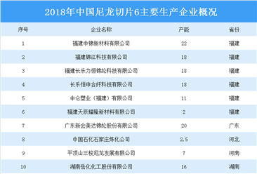 2020年中国尼龙６切片市场分析及预测（表）