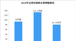 2019年寶雞市園林水果種植情況分析：獼猴桃產量增長38%（圖）