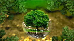 植树节聚力共治生态修复 2020年中国生态修复政策汇总（图）