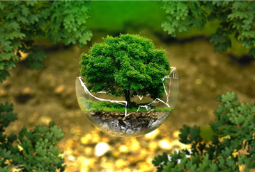 植樹節聚力共治生態修復 2020年中國生態修復政策匯總（圖）