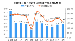 2019年陕西省化学纤维产量及增长情况分析