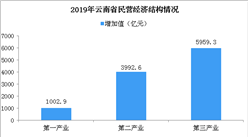 2019年云南民营经济总量实现跨越式增长：完成增加值超万亿元