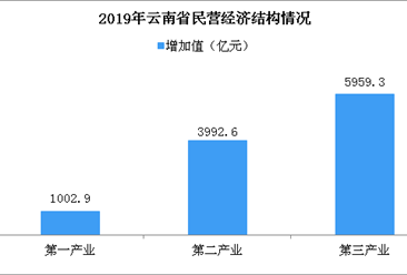 2019年云南民营经济总量实现跨越式增长：完成增加值超万亿元