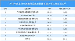2019年东莞市规模效益成长性排名前20名工业企业排行榜（图）