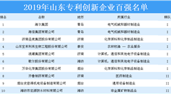 2019年山東省專利創新企業百強排行榜