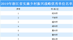 2019年浙江省實施鄉村振興戰略優秀單位名單：共48個市縣（區）上榜